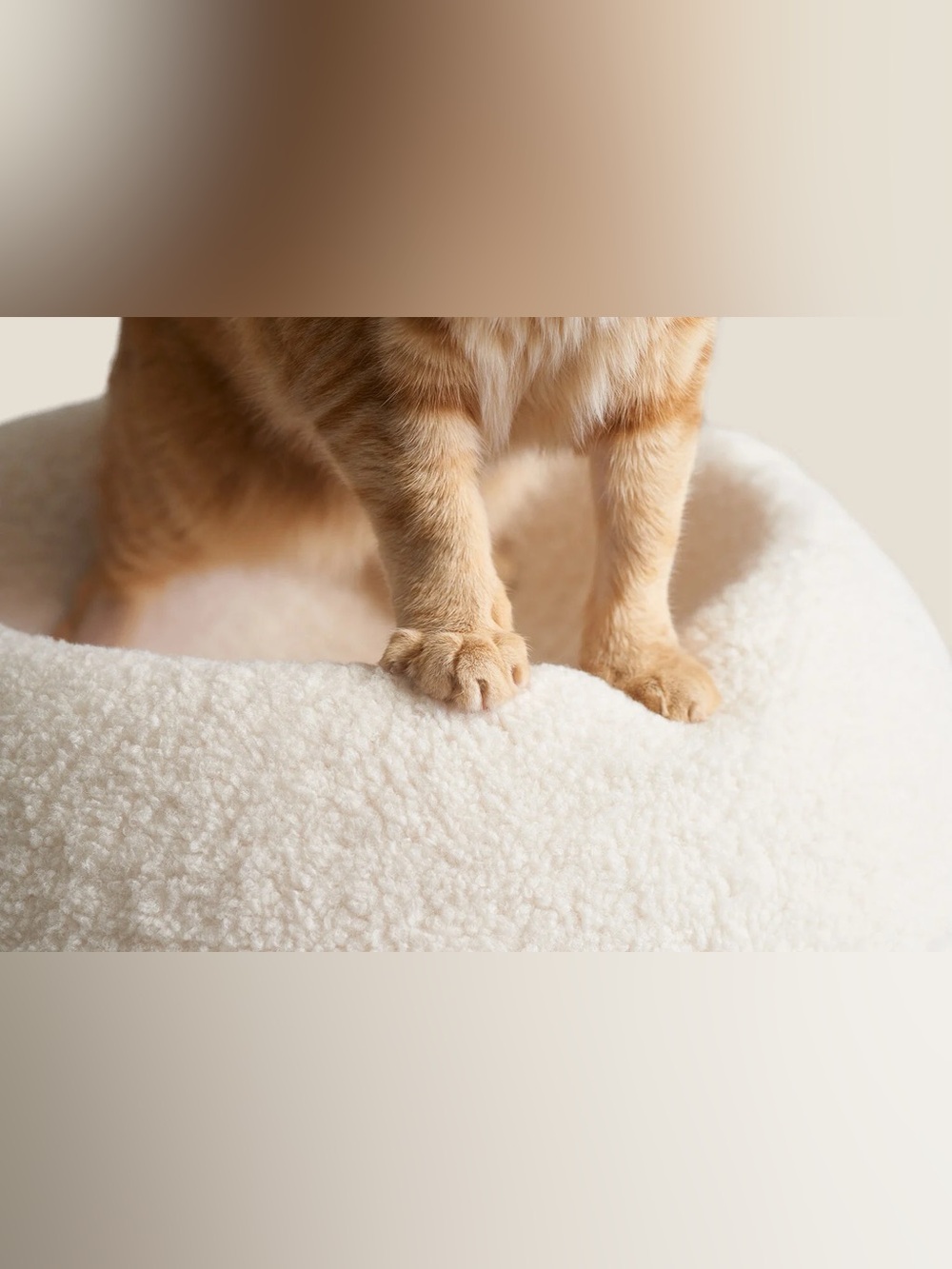 Tuft + Paw Plush Cream Round Sherpa “The Puff” Cat Bed - Picture 10 of 16